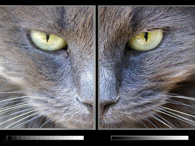 ¿Qué es el nivel de gris de la pantalla LED?